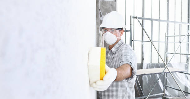 Best Mold Odor Removal Services in USA